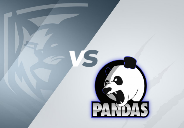 Les Lynx du cégep Édouard-Montpetit vs les Pandas du cégep de Saint-Jérôme
